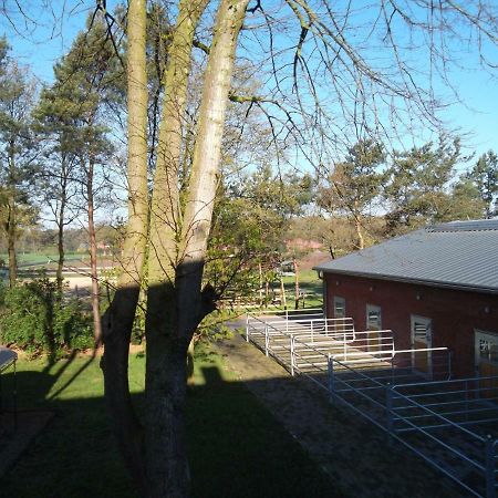 Ferienwohnung Friesenstall Heede Eksteriør billede